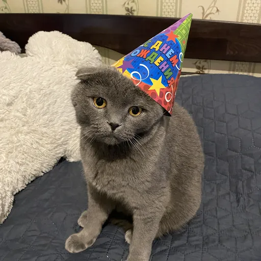test-2-0-kh2-727